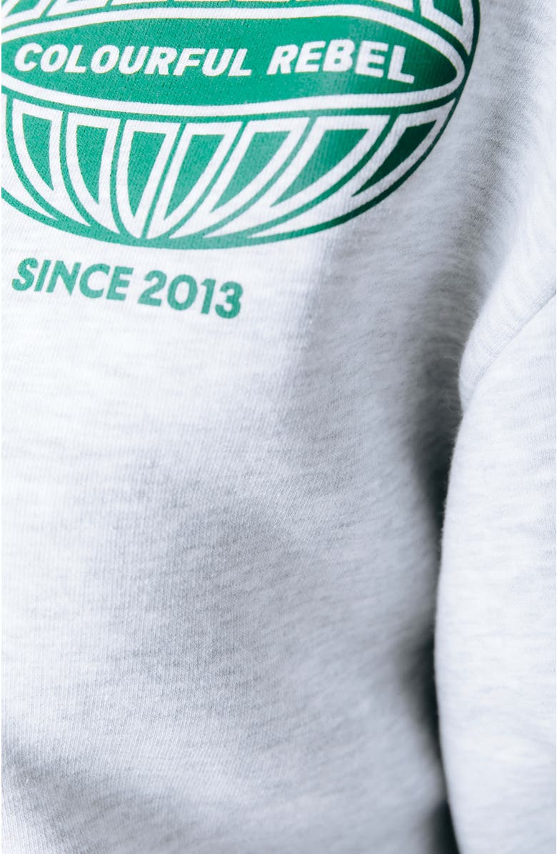 Colourful Rebel Racer Logo Dropped Shoulder Sweat, Alternate, color, Light Grey Melange