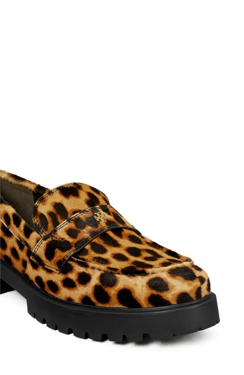 Tory Burch Classic Genuine Calf Hair Platform Lug Sole Loafer In Multi