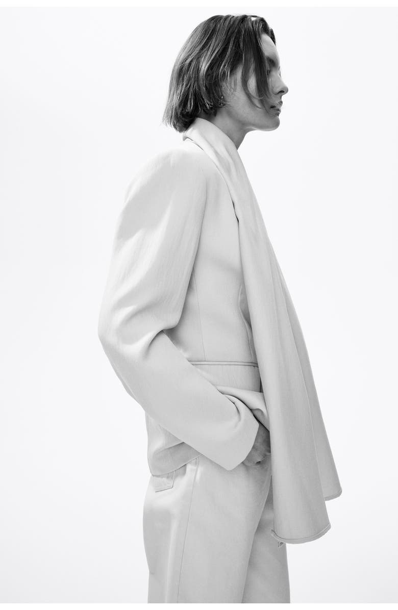 H&M Lapelless Blazer With Scarf, Alternate, color, Light Beige