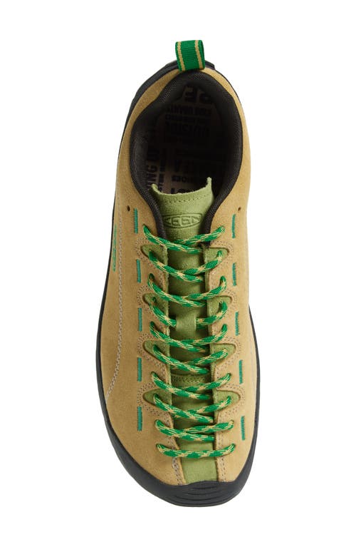 Keen Jasper Low Top Hiking Sneaker In Khaki/iguana
