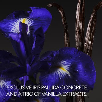 The Alchemist's Garden Vanilla Firenze Eau de Parfum