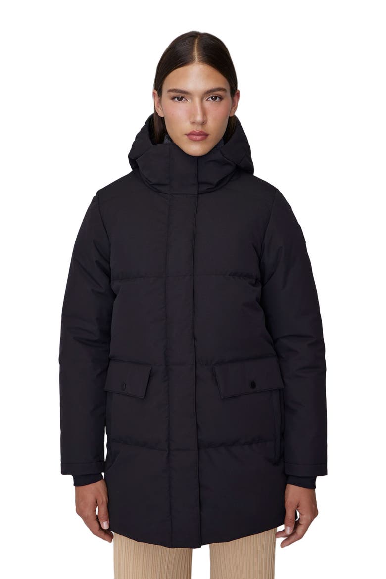 CHLOE | Hooded Down Winter Jacket, Alternate, color, Black