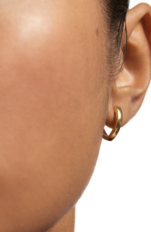 Pdpaola Serena Hoops In Gold