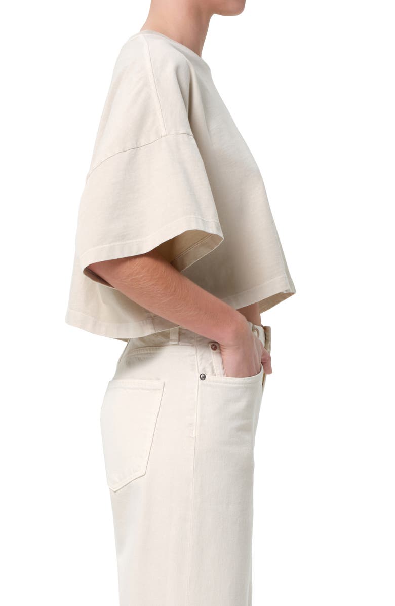 AGOLDE Arli Oversize Cotton Crop T-Shirt, Alternate, color, Brown Rice