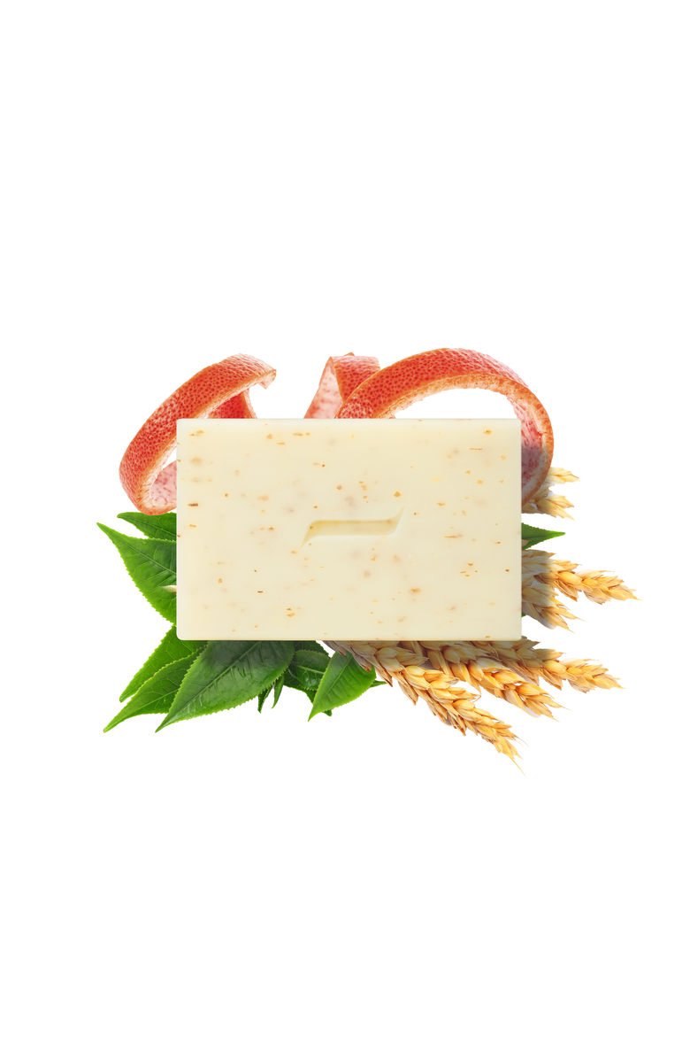 Caswell-Massey Body Scrub Bar, Alternate, color, Regular