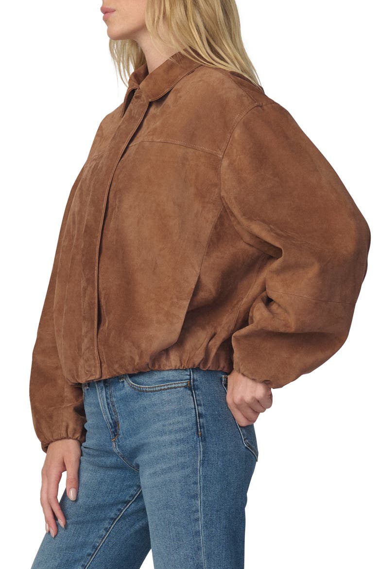Bella Suede Bomber Jacket, Alternate, color, NUTMEG