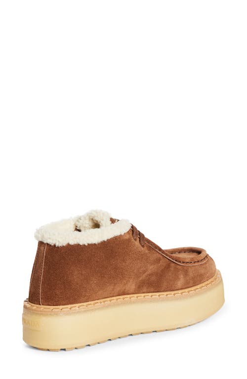 Prada Genuine Shearling Derby Bootie