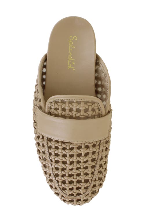 Splendid Sandra Woven Mule In Camel
