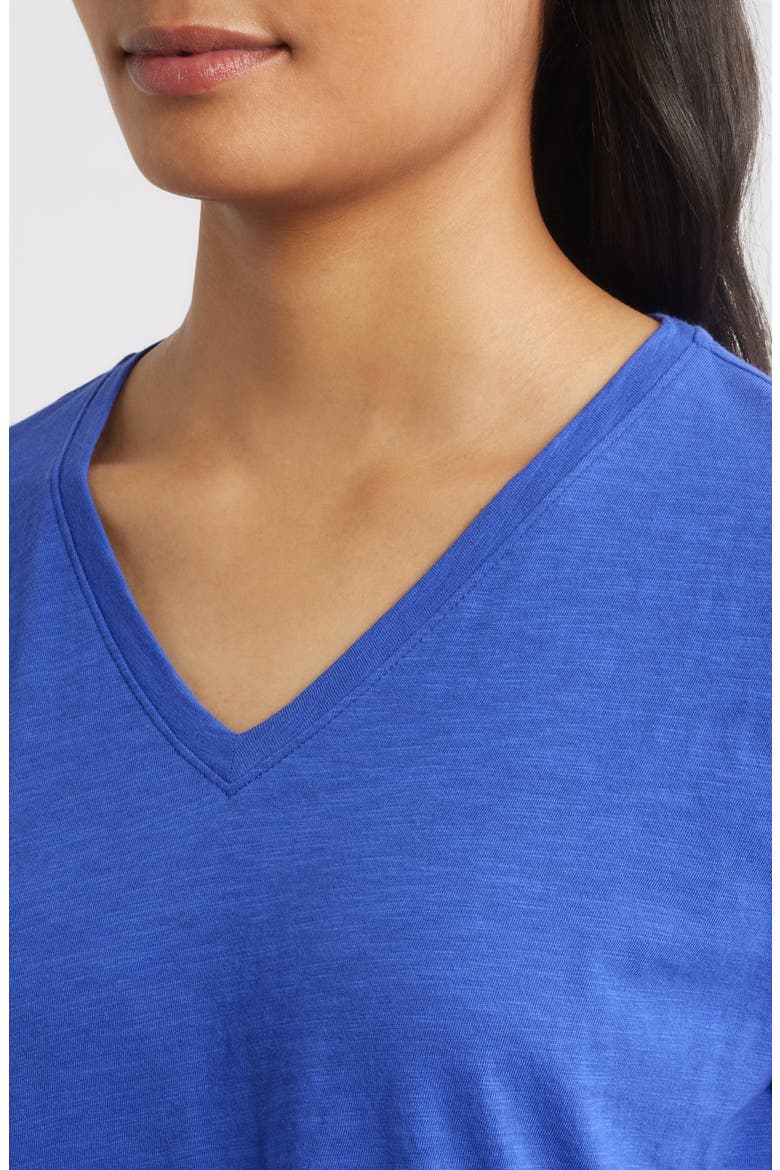 Easy V-Neck Organic Cotton T-Shirt, Alternate, color, ROYAL