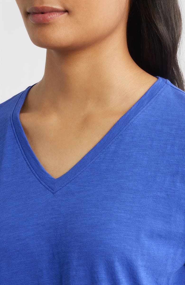 Eileen Fisher Easy V-Neck Organic Cotton T-Shirt, Alternate, color, Royal