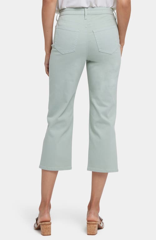 Nydj Joni High Waist Relaxed Capri Jeans In Tomatillo