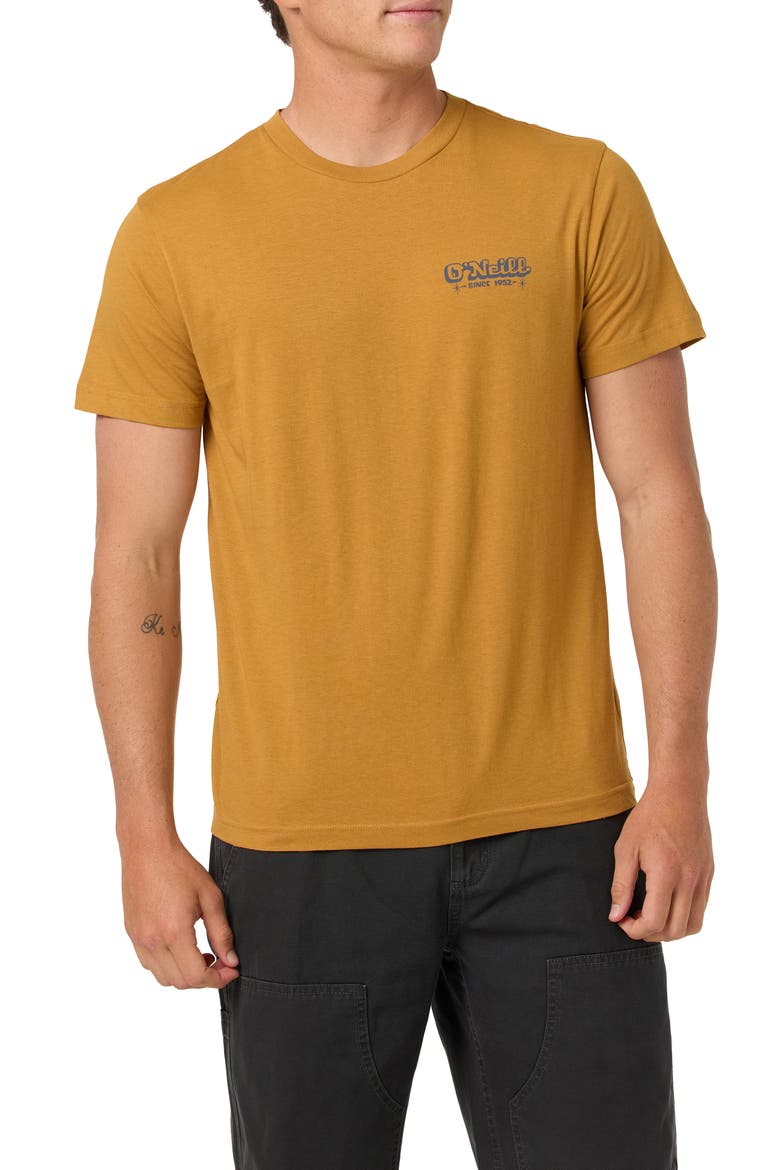 Painter Classic Cotton Graphic T-Shirt, Main, color, BONE BROWN