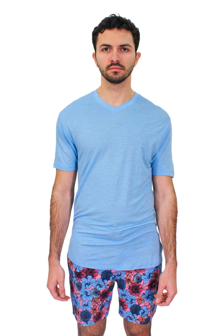 Victor Extra Fine Merino Wool V-neck Shirt, Main, color, Blue