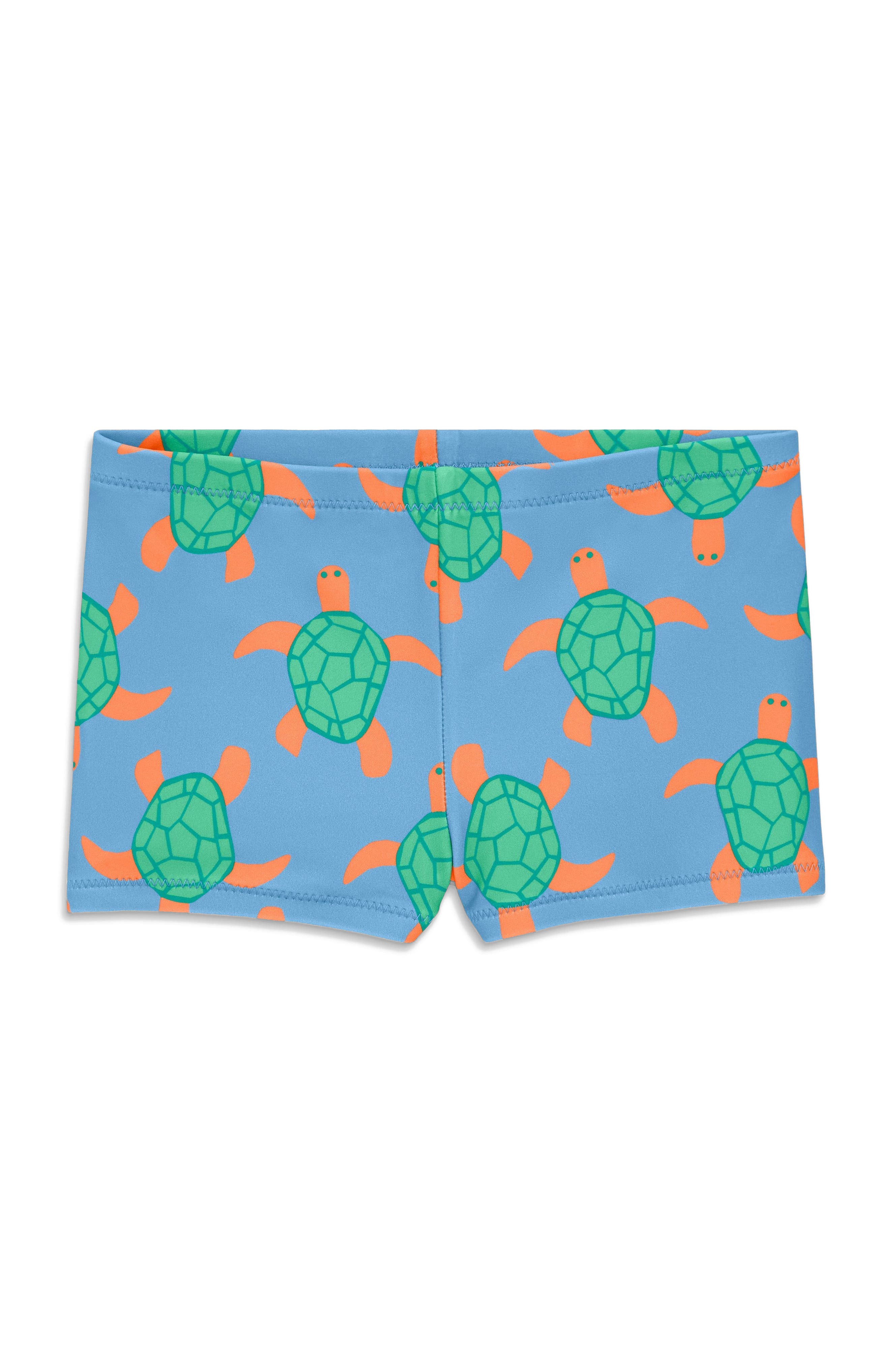 Cornflower Sea Turtles