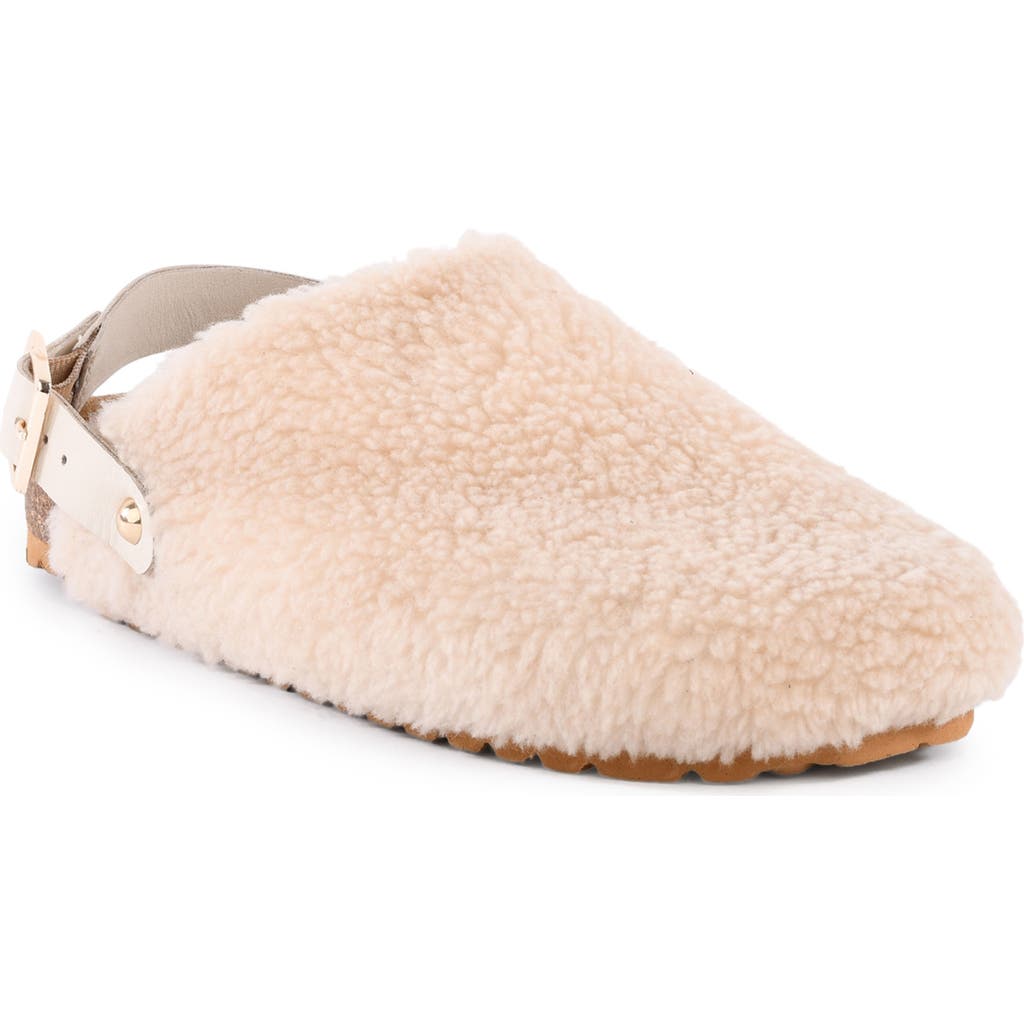 Seychelles Buckle Up Clog