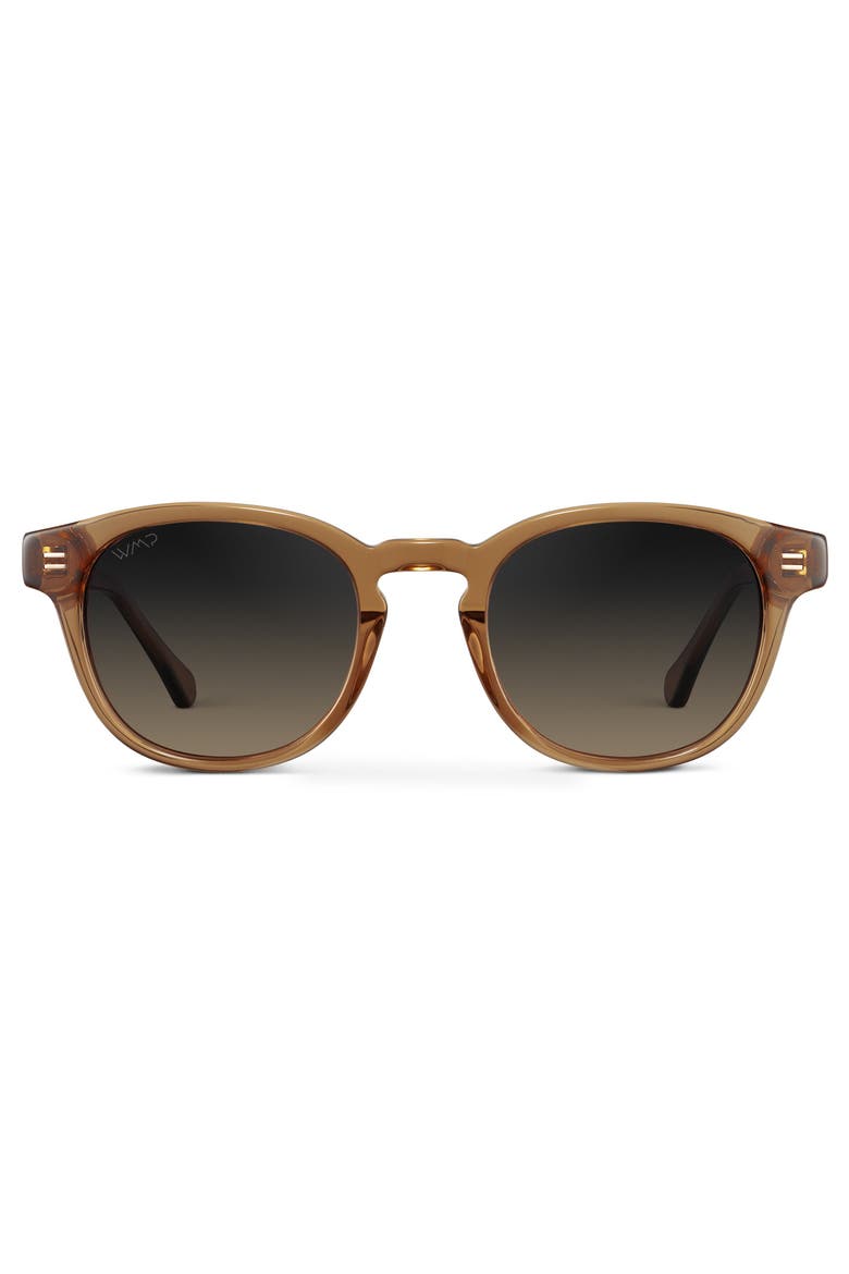 Felix - 48mm Round Polarized Sunglasses, Main, color, Crystal Brown