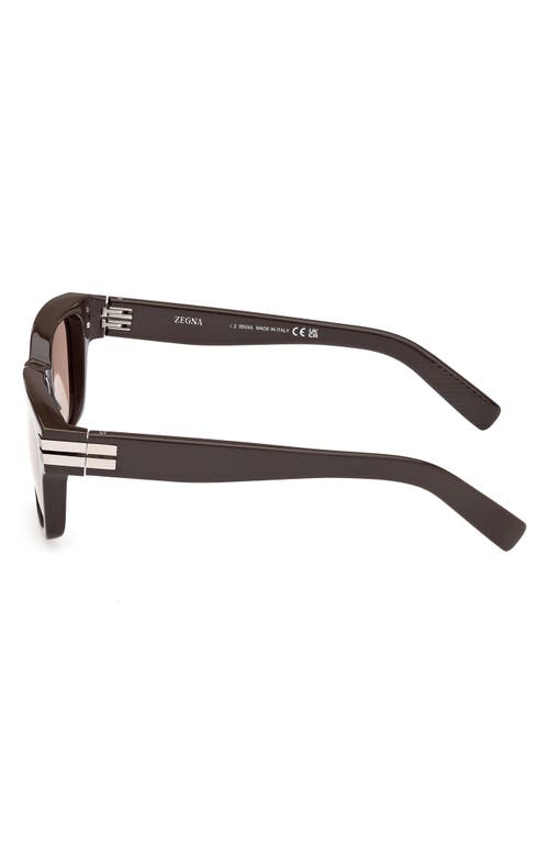 Zegna 55mm Polarized Rectangular Sunglasses In Brown