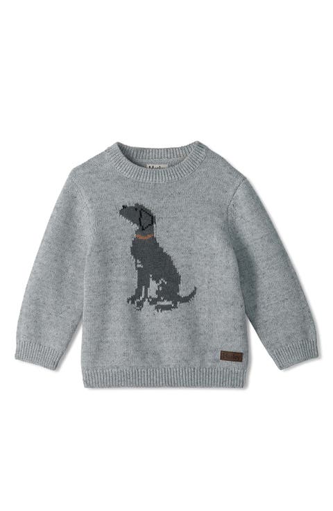 Labrador Cotton Crewneck Sweater