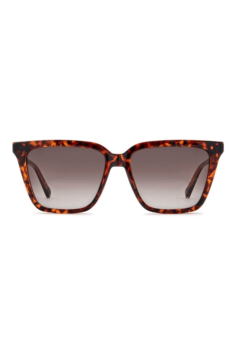56mm Square Sunglasses, Main, color, HAVANA
