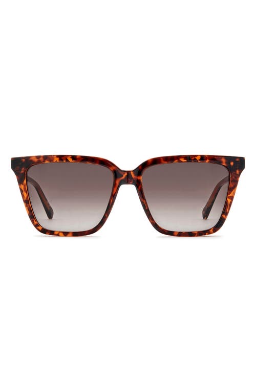 Fossil 56mm Square Sunglasses In Brown