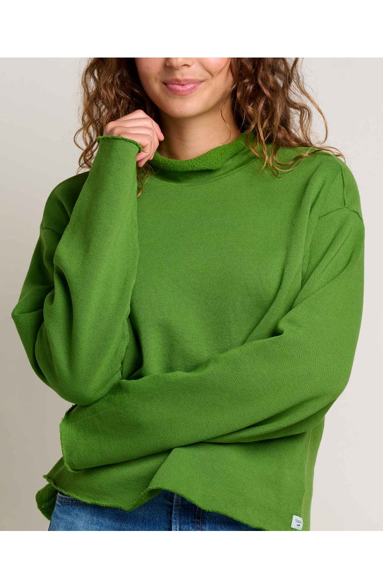 Toad & Co Fernscape Roll Neck Pullover, Alternate, color, 