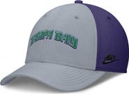 Nike Men's Nike Gray/Purple Tampa Bay Rays Rise Swoosh Performance Flex Hat