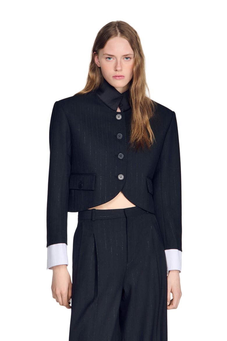 Short jacket with standing collar, Alternate, color, Black