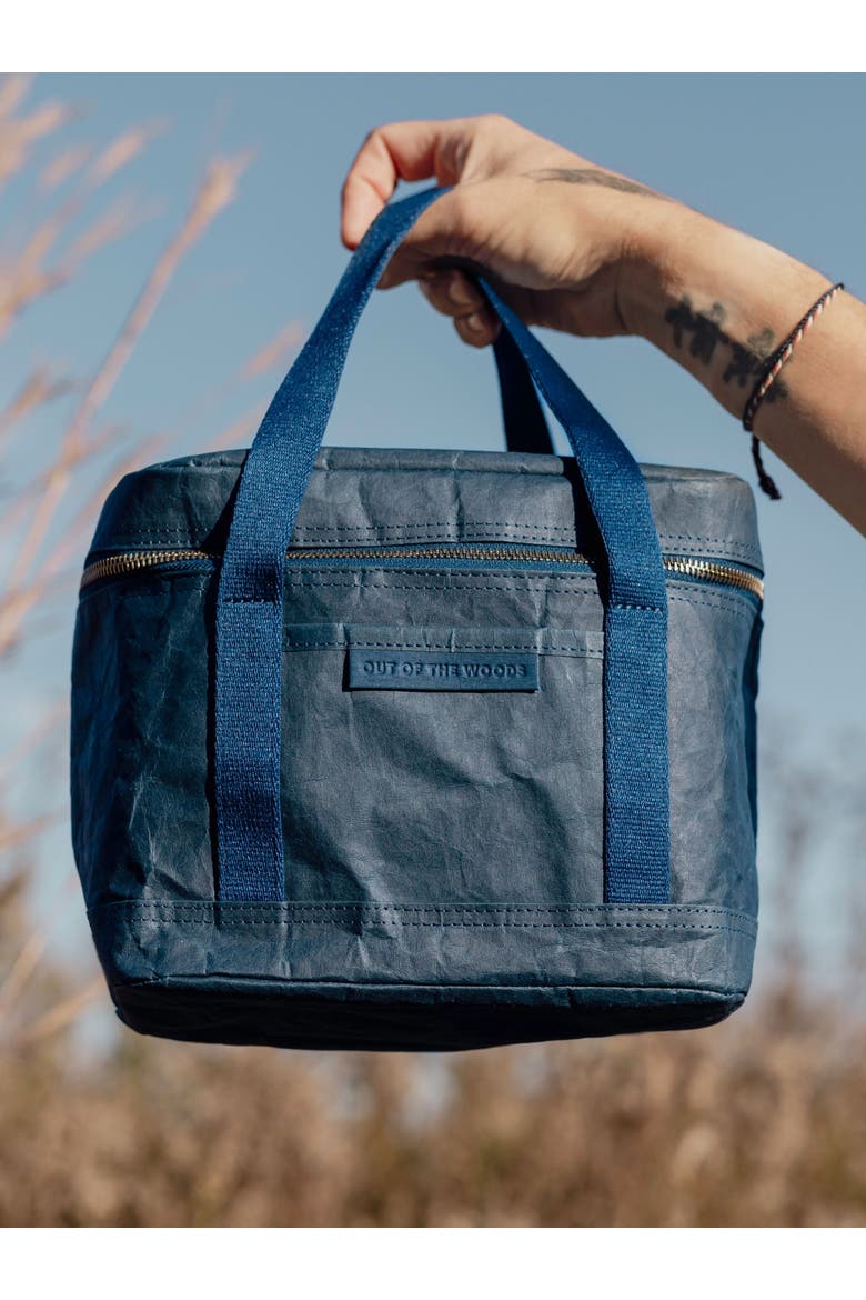 Walrus Lunch Cooler, Alternate, color, Navy