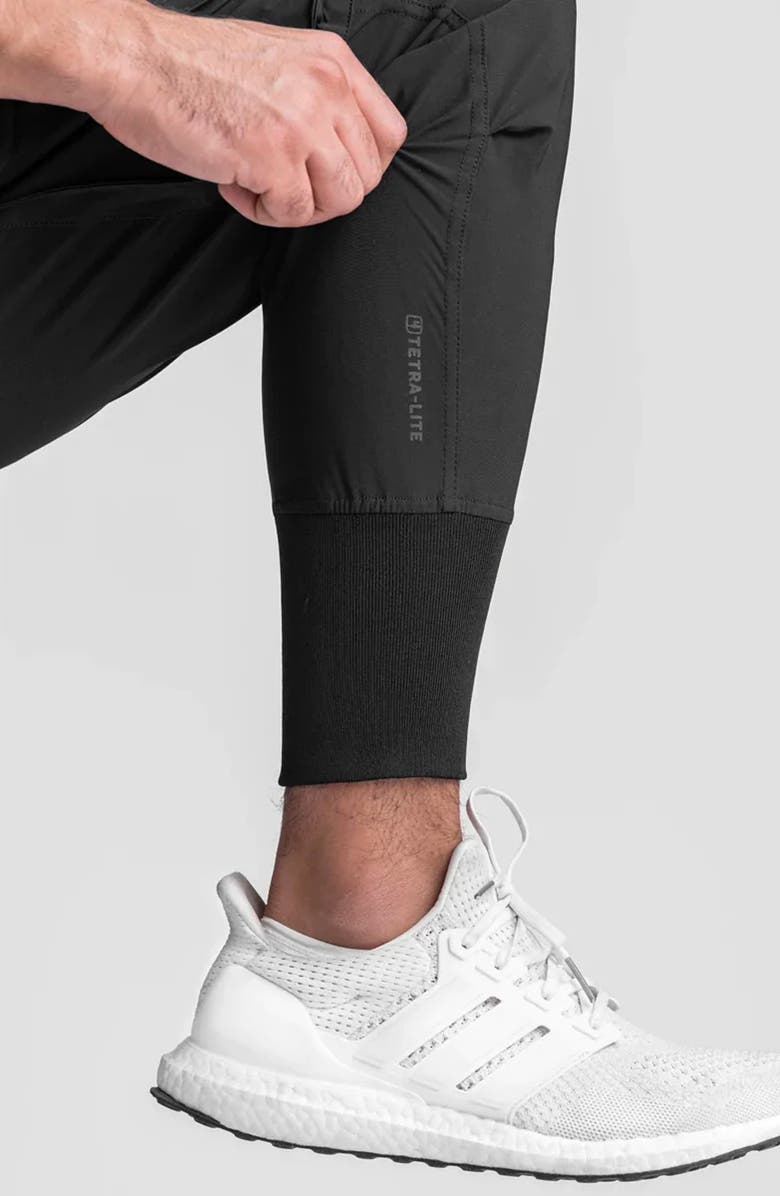 ASRV Tetra-Light Cargo Joggers, Alternate, color, 