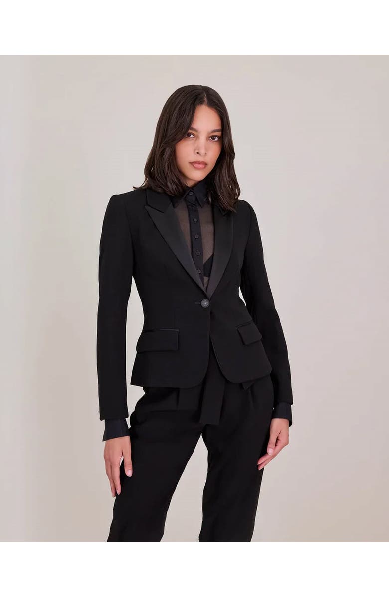 Anne Fontaine Smart Tuxedo Jacket, Alternate, color,