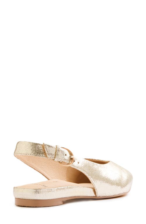 Frankie4 Luna Pointed Toe Slingback Flat