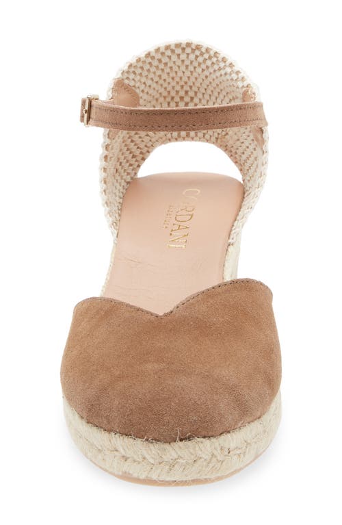 Cordani Elliana Ankle Strap Platform Wedge Espadrille In Fango Suede