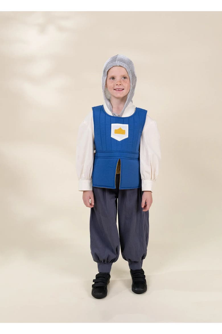 Knight Play Costume, Main, color, Multicolor