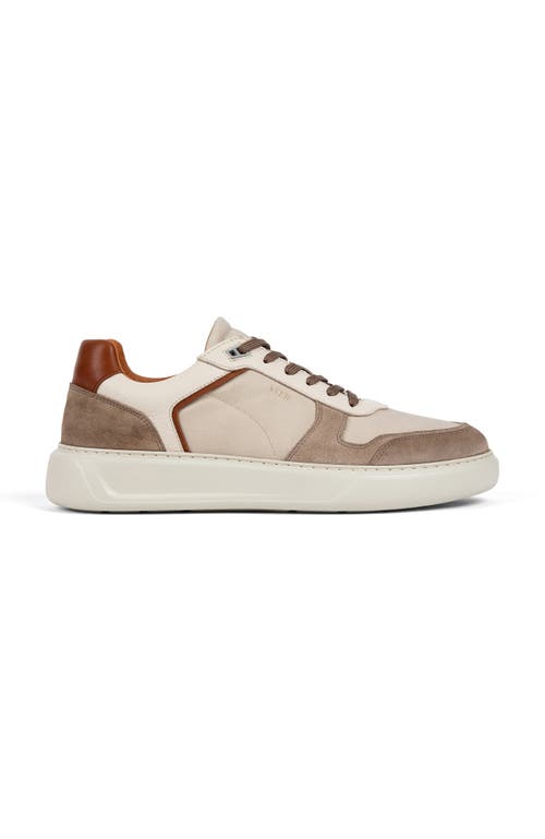 Anthony Veer Men's Acton Court Sneaker In White Black Multi