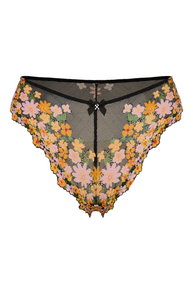 Wonderfleur Cheeky Briefs, Alternate, color, BLACK CAVIAR