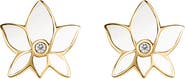 Karma and Luck Lotus Flower Stud Earrings