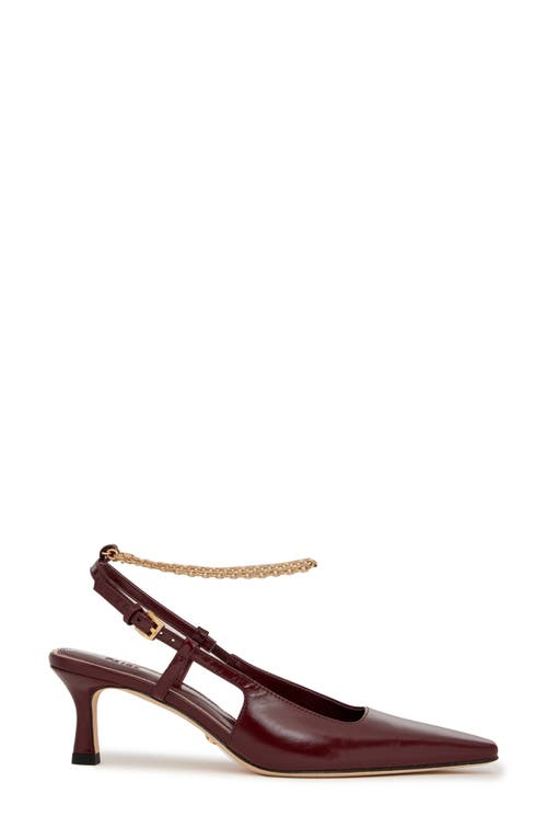 Paige Winnie Ankle Strap Pointed Toe Pump In Brown