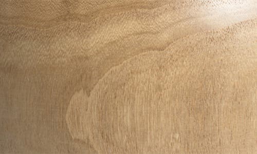 Zodax Alicante Paulownia Wood Vase In Neutral