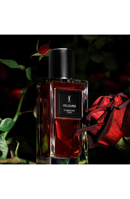 Saint Laurent Yves  Velours In Transparent