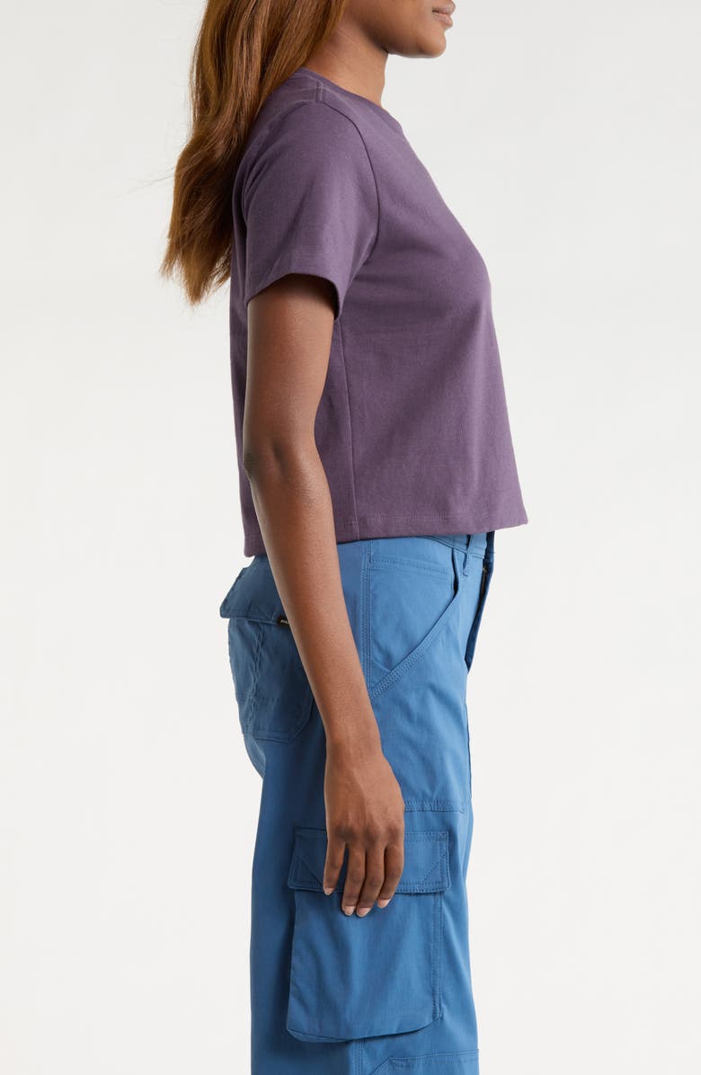 The North Face Places We Love Cotton Graphic T-Shirt, Alternate, color, Endless Dusk