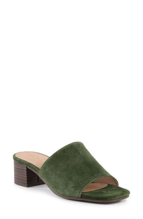 Seychelles Pepper Slide Sandal In Green