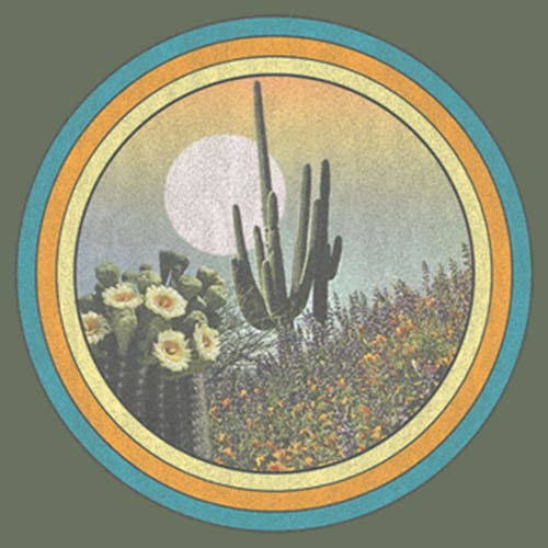Lost Gods Vintage Frame Desert Graphic T-shirt In Green