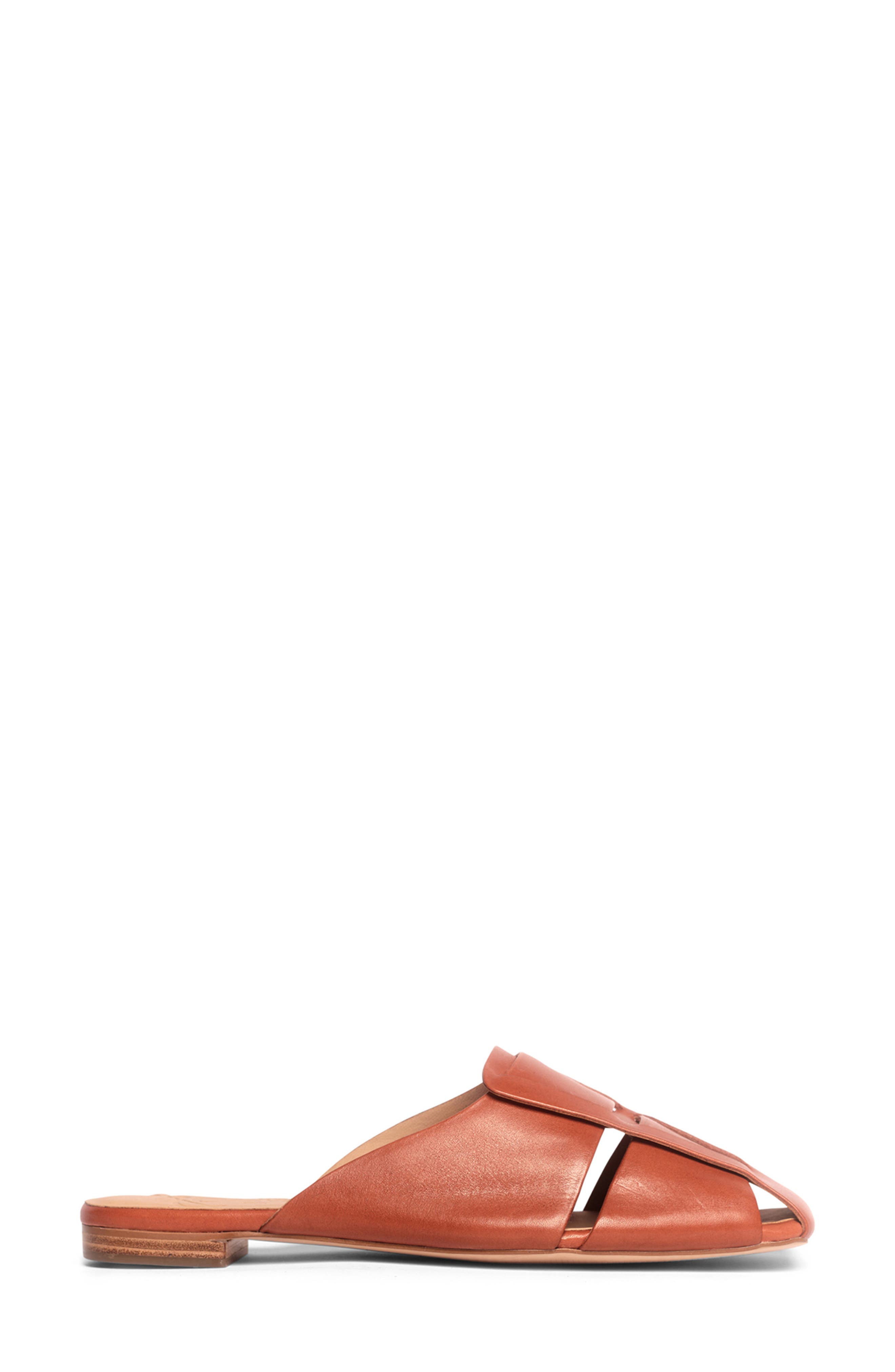 Mia Mule, Alternate, color, EXUBERANCE