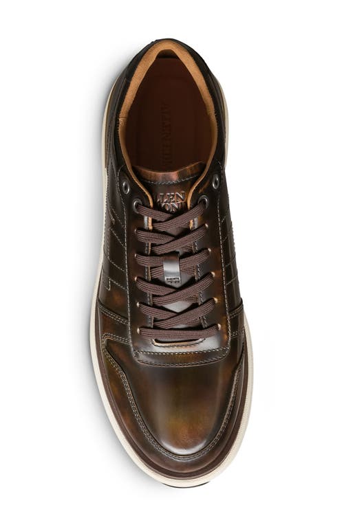 Allen Edmonds Elliot Sneaker In Antique Bronze