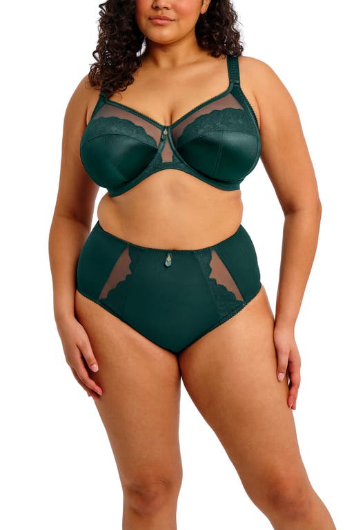 Elomi Plus Size Cate Allure Underwire Bra In Green