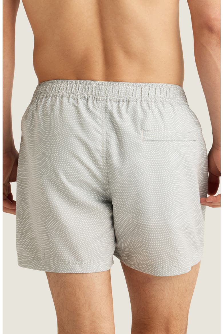 Sebastian Print 4-Inch Nylon Swim Trunks, Alternate, color, FOG/ WHITE MICRO DOT
