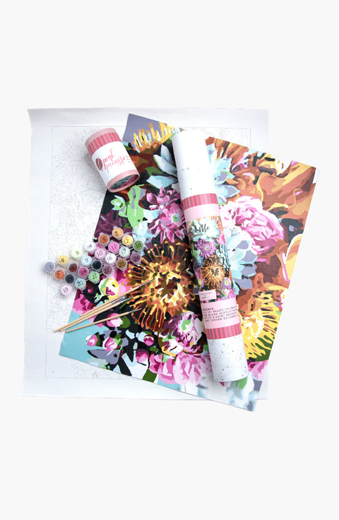Pinch Me Paint by Numbers Kit