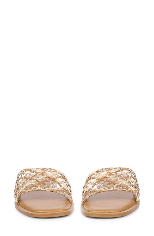 Saint G Jade Woven Slide Sandal In Tan Multi