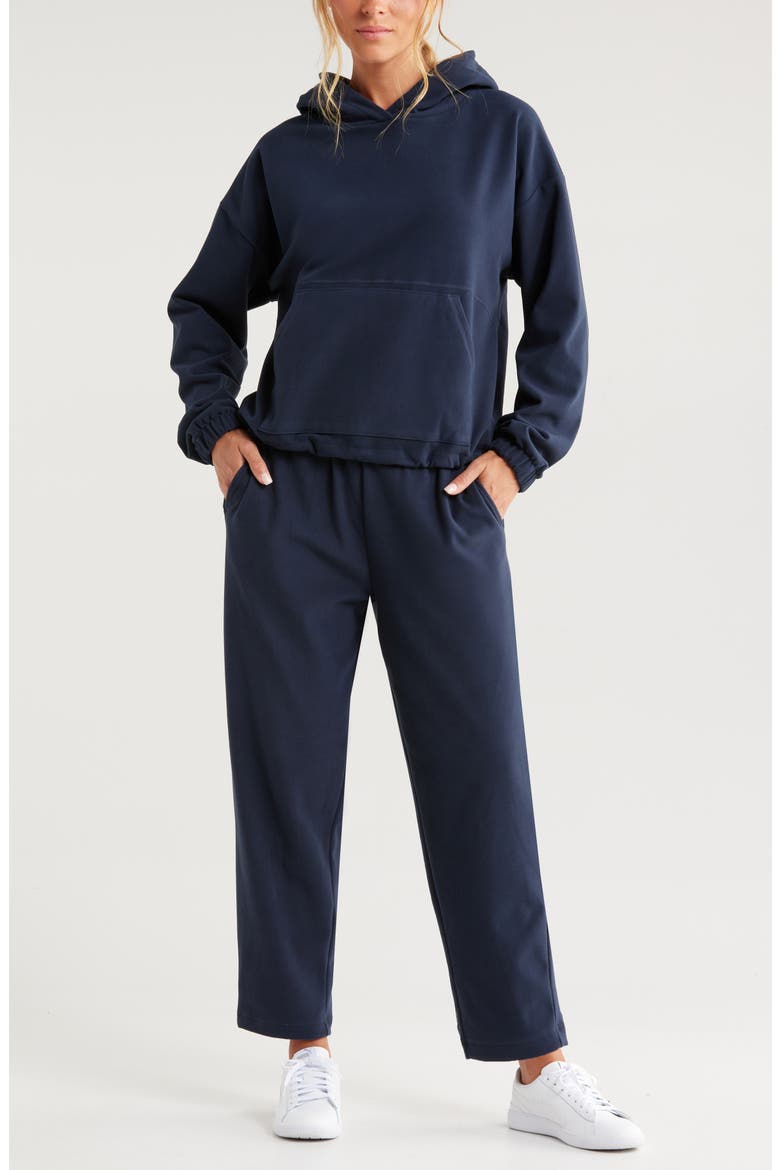 Micro Fleece Joggers, Alternate, color, NAVY SAPPHIRE