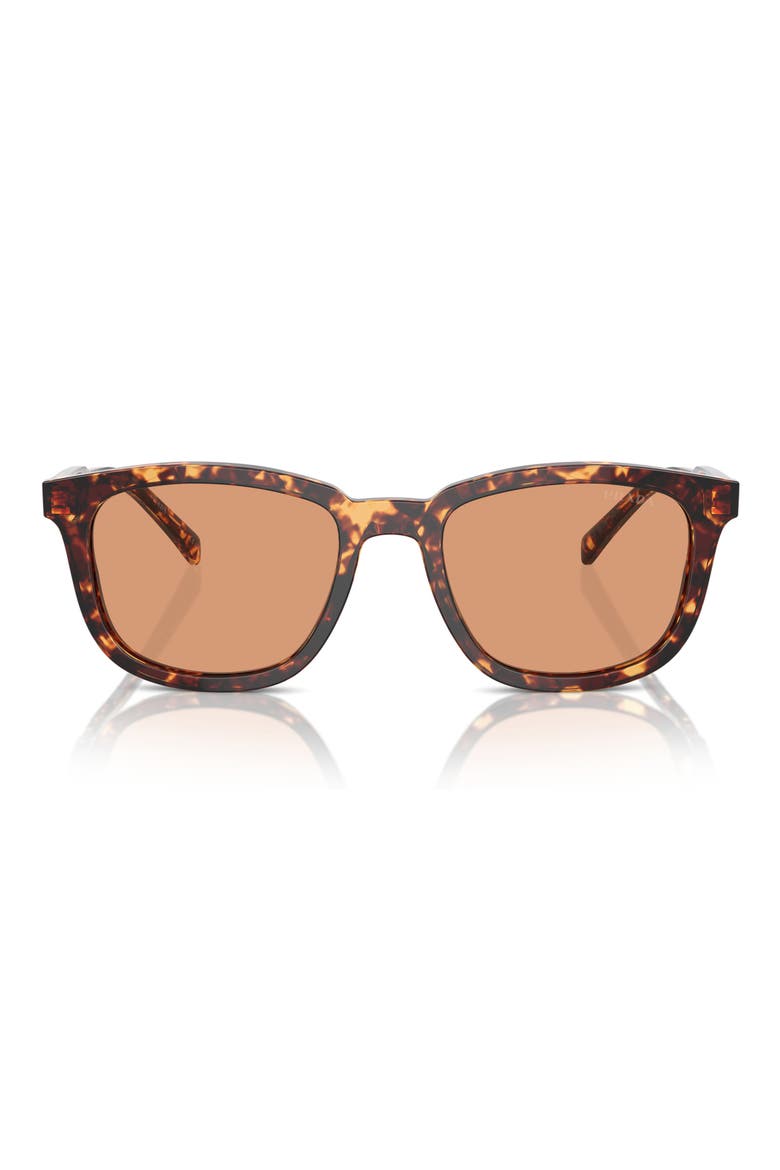 55mm Pillow Sunglasses, Main, color, HAVANA/ ORANGE